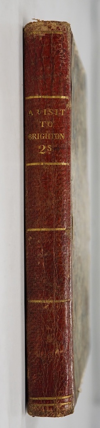 [Sandham, Elizabeth] - Sketches of Young People; or, a Visit to Brighton ... first edition. engraved frontis., original red quarter calf and marbled boards, gilt ruled and lettered spine, 12mo. printed for Harvey and Dar